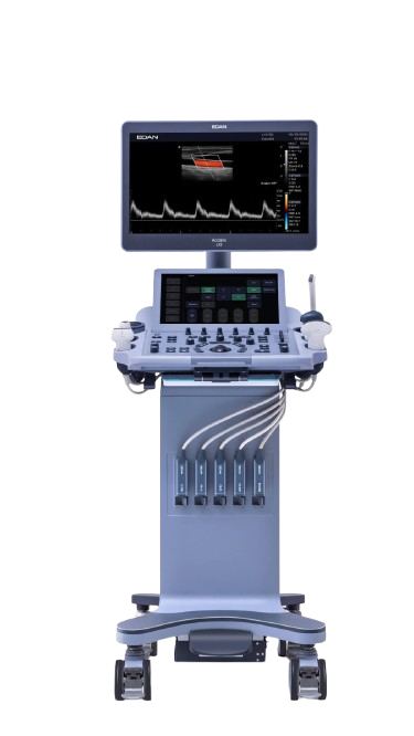 4D Colour Doppler (Eco Based Ultrasound Machine)